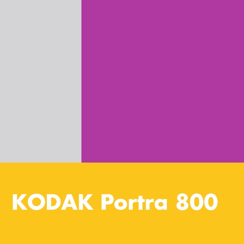 Kodak Portra 800 Lightroom Preset